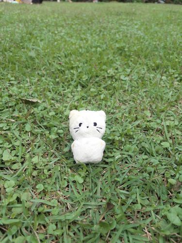 さいきんのおれ🐱
