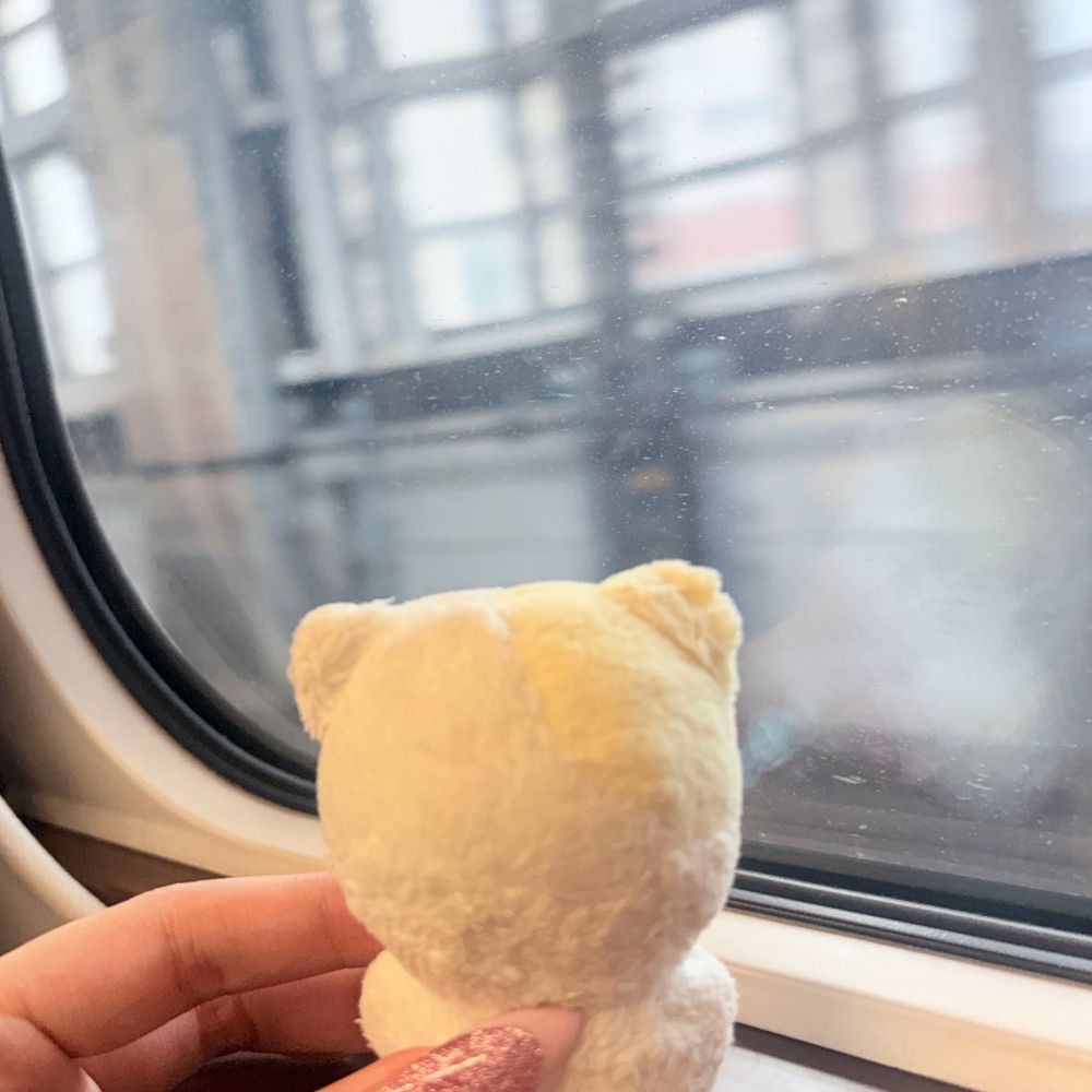 🚅💨