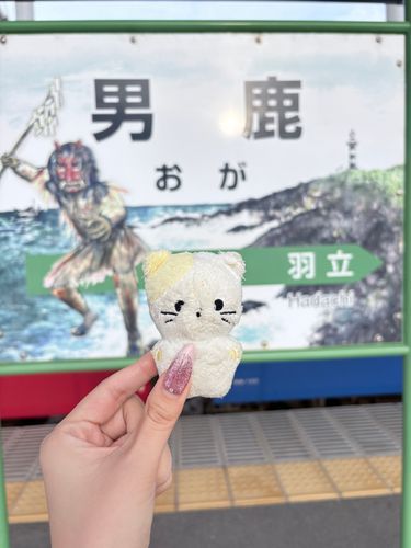 このまえはじめて「あきた」にいったんだ〜( ฅ^ ._. ^ฅ )おれがすんでるとこから6じかんかかったぜ、、
