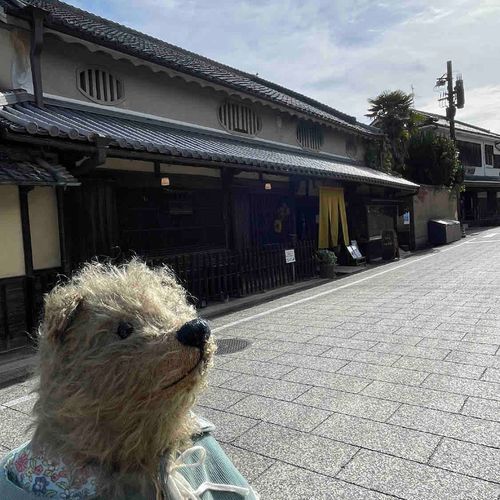 主人は鄙びたのがいいと言っている