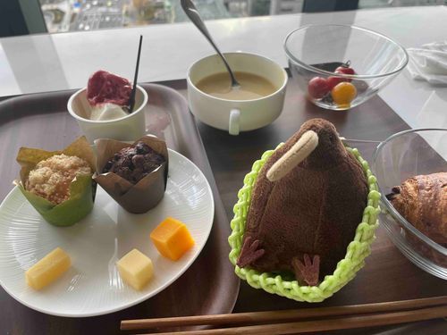 キーウィくん、ごはんだよ