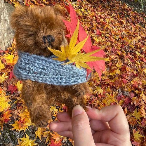 紅葉なの