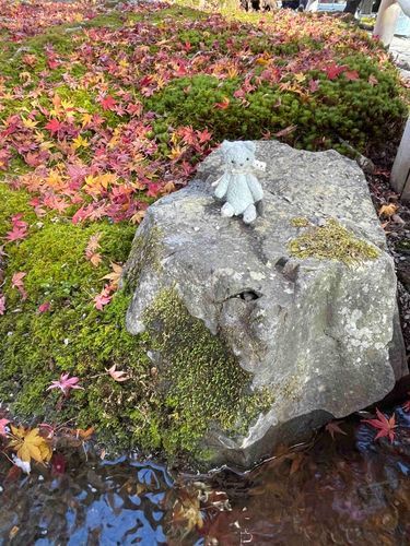 風流かも