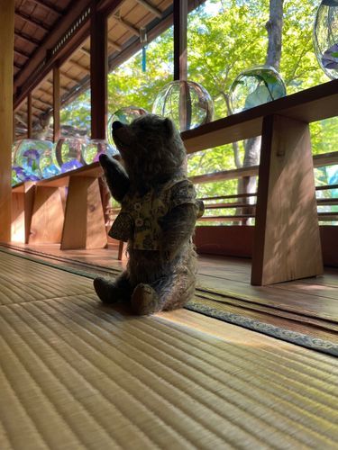 京都まで、ちょっと遊びに行ったの