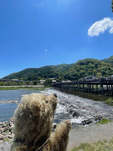 暑かったねえ、桂川