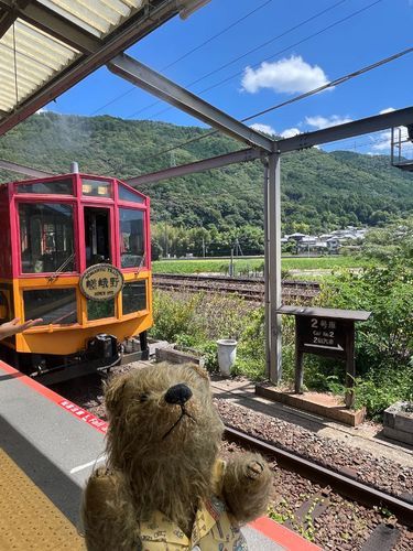 じゃん！
嵯峨野トロッコ列車に
