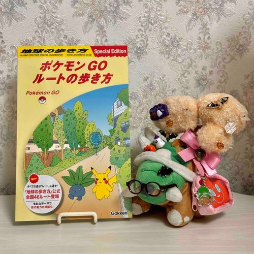 ポケモンセンターで 素敵な冊子を貰ったよ🎶📗