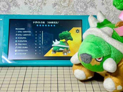 最強のドダイトス✨なんとかGETできたよ〜🌱