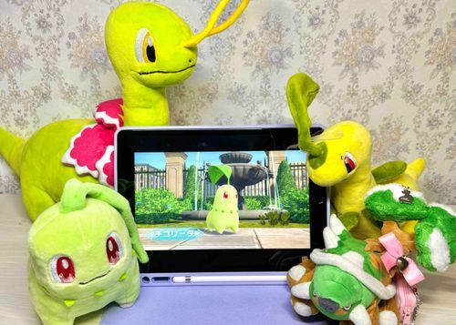 みんな ポケモンプレゼンツ見た！？ハートゴールドぶりにチコリータと旅が出来るの とっても楽しみだな！メガメガニウムになるのかな！？Z-A楽しみ〜！！