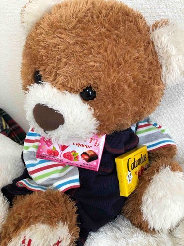 チョコレートもらったちゃ
