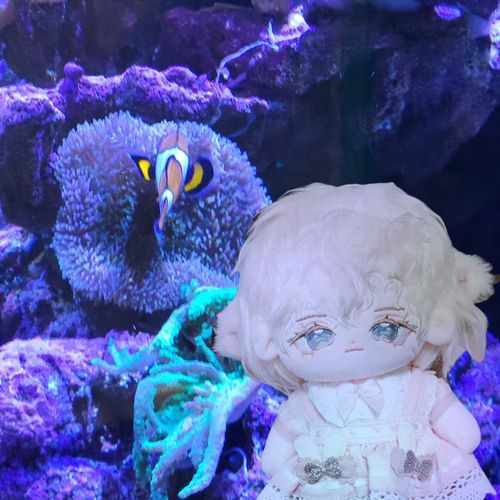 いっしょにおでかけ
(でもお写真撮る余裕がなかったので、合成なの……😭)