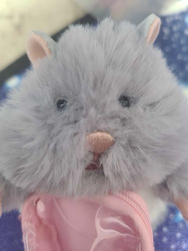 はむにぎりがうちにきました。
#はむにぎり 