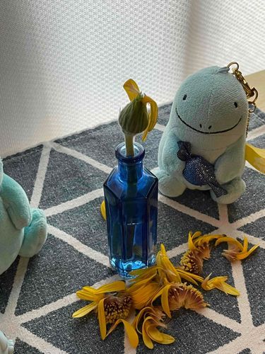お花枯れちゃったぬ。でもきれいだったぬ。