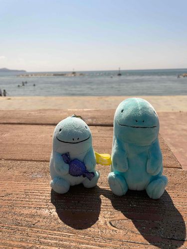 夏の思い出だぬ〜。
夏終わっちゃったぬ。