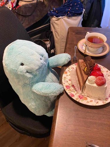 ちょっと遅れたクリスマスケーキだぬ。おうちの人が「クリスマスのあとの方がケーキ買いやすいよ」って言ってたぬ…