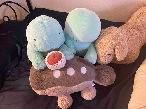 ももだぬ！まるくてかわいいぬ。
