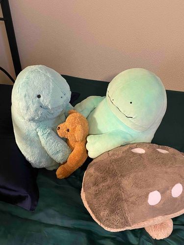 道のおとしものだったくまさん、けいさつにあずけて三か月たったんだぬ。だから、もちぬしが、おうちのひとにかわっただぬ。これからはいっしょにくらすんだぬ。
