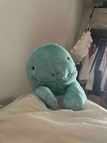 おはなししよだぬ。ないしょのおはなしもきくだぬよ。