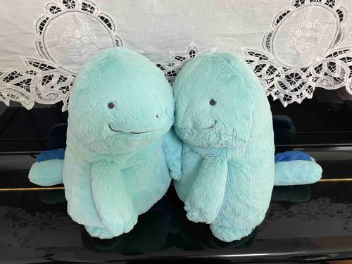おばあちゃんちにホームステイしている、ぬうぬうちゃんに会いにきたぬ。まいにちげんきらしいぬ。よかったぬ。