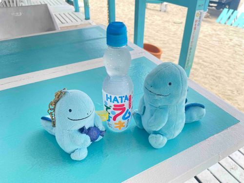 ラムネだぬ〜。海辺はさわやかだぬ。