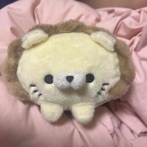 お姉ちゃんが家に連れてきてくれました!!他にもライオンのお友達がいるので嬉しいよ🦁

#ぬいぐるみ #らいおん #ぬい撮り #れお #かわいい 