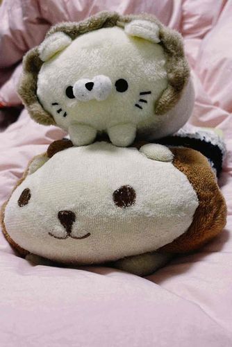お兄ちゃんといっしょ🦁

#ぬいぐるみ