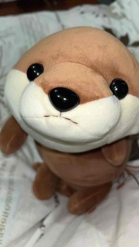 ぼくの大好きなお友達！！
コツメカワウソのこちゃん🦦