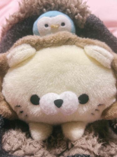 おはよう、今日は寒くて朝からペンちゃんとぬくぬくしてたよ☺️