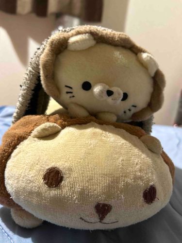 だいすきなお兄ちゃん🫶🫶

#ぬいぐるみ #らいおん #あいされてるぬいぐるみ 