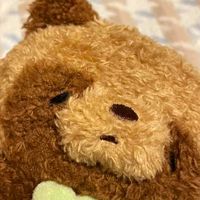 たぬぽ