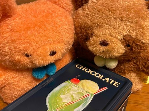 友達のコンちゃんと一緒にかわいいチョコを見つけたよ！口に入れたらパチパチしておもしろーい✨
