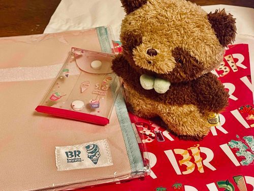 あけましておめでとうございます！

今日はアイスの福袋を買ってもらったよ⭐️
またみんなで食べに行くんだ！楽しみ！