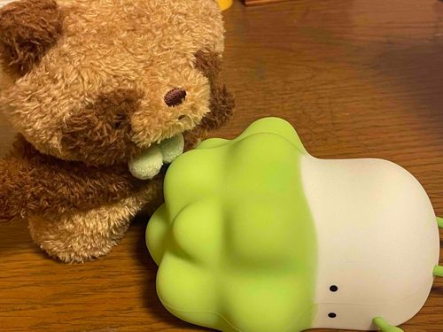 この子、白菜さんなんだって！しかも光るの！
お友達がお仕事の帰りにつれて帰ってきたんだよ⭐️