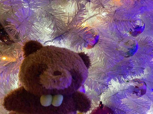 もうすぐクリスマス！