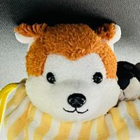 むさし