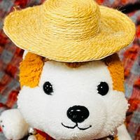 むさし