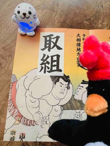 巡業では
推しのグッズが手に入らず😢
国技館に行くしかない💨