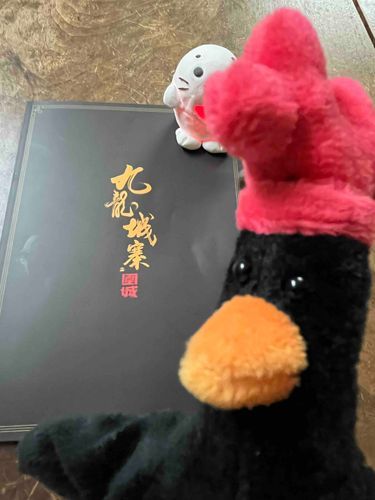 「トワイライト・ウォーリアーズ　決戦！九龍城砦」
U-NEXTで配信開始✨
面白かったことは覚えていた！
面白かった❗️