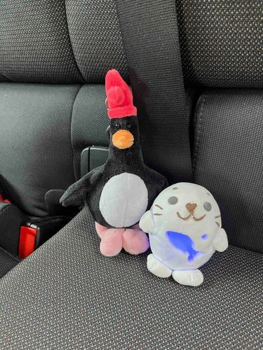 まれなこと🚘