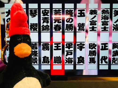 本日九州場所初日。
白星スタートは幸先がよい⭐️