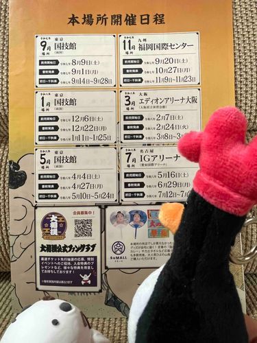 大相撲ロス🫥