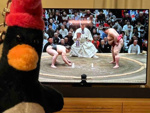 優勝決定戦、
すばらしいかった！
