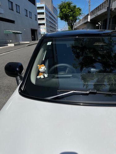 はれた〜