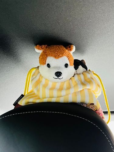 高いところからで➰す