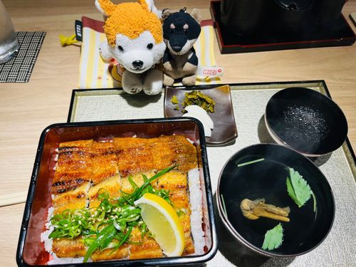 はんじょうしているうなぎ屋さんでした☺️
