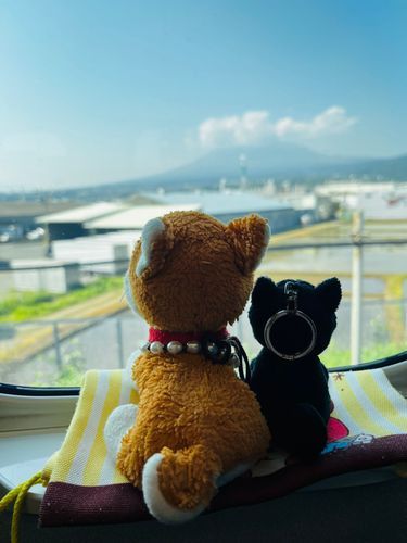 ふじさん見えないね‥