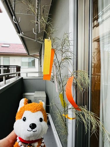 お願いごとはぼくがぜ➰んぶかいたよ♪
