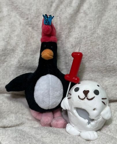 ㊗️いちねん