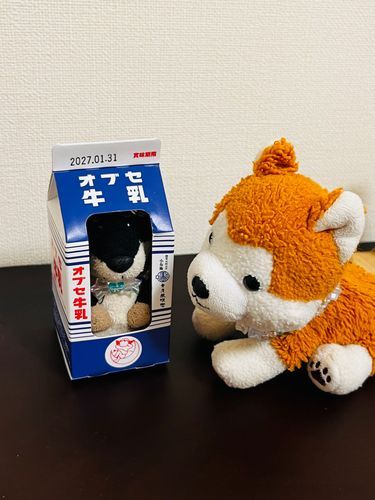 せまいかな？