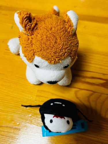 へんし〰️ん